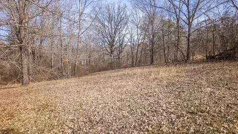 Other - 509 Old Cane Bluff Rd, Alton, MO 65606 photo 19 of 26