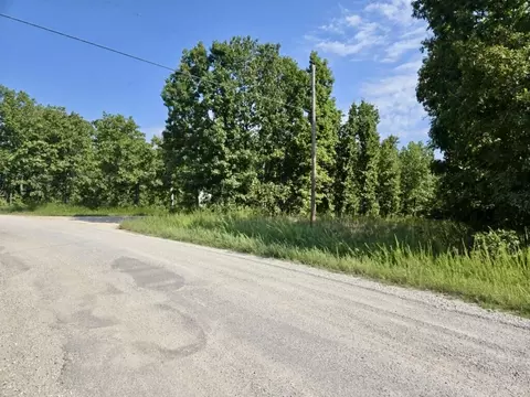 000 Lemon Ln, Tunas, MO 65764 photo 2