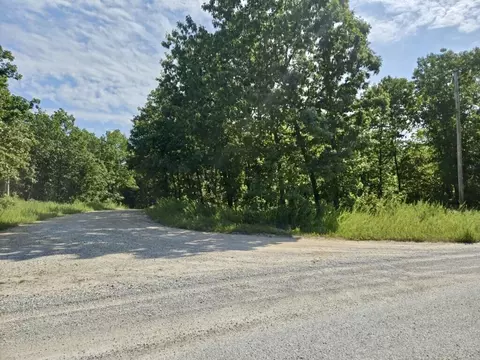 000 Lemon Ln, Tunas, MO 65764 photo 3