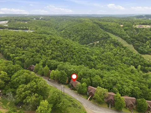 View/Area - 263 Willow Oak Ln, Branson, MO 65616 photo 6 of 6