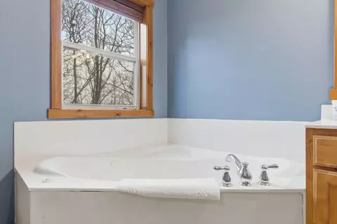 Bath - 263 Willow Oak Ln, Branson, MO 65616 photo 2 of 10
