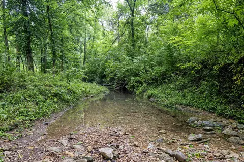 000 W Old Limey Rd, Brookline, MO 65619 photo 6