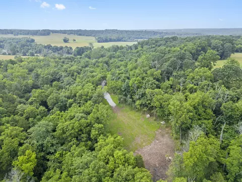 000 W Old Limey Rd, Brookline, MO 65619 photo 11