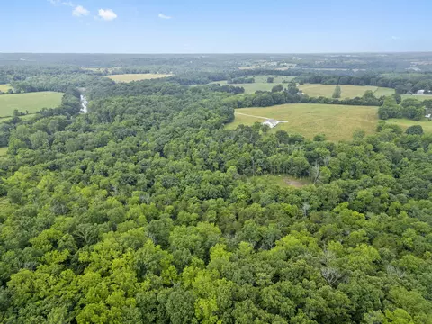 000 W Old Limey Rd, Brookline, MO 65619 photo 9