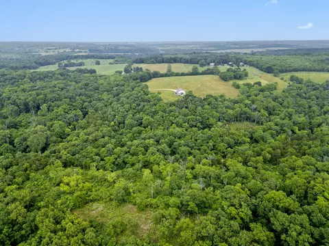 000 W Old Limey Rd, Brookline, MO 65619 photo 8