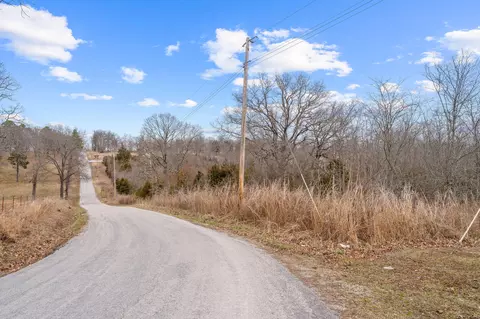 000 Maple Ridge Br, Forsyth, MO 65653 photo 3