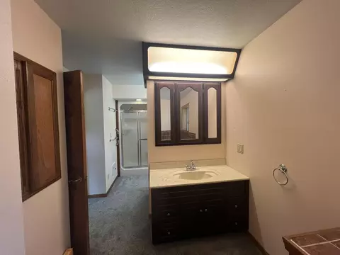Bath - 4531 Bado Rd, Cabool, MO 65689 photo 3 of 8