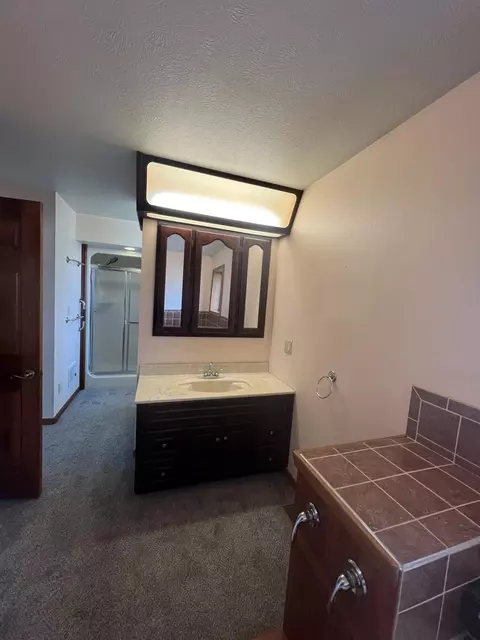 Bath - 4531 Bado Rd, Cabool, MO 65689 photo 3 of 8
