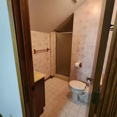 Bath - 1107 W Tracy St, Springfield, MO 65807 photo 3 of 3