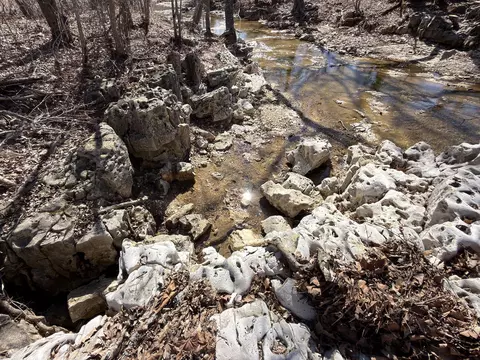 Rt 1 County Rd 14-531, Ava, MO 65608 photo 74