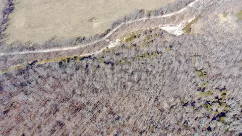 Rt 1 County Rd 14-531, Ava, MO 65608 photo 5