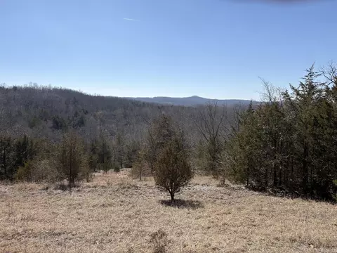 Rt 1 County Rd 14-531, Ava, MO 65608 photo 46