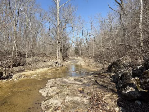 Rt 1 County Rd 14-531, Ava, MO 65608 photo 59