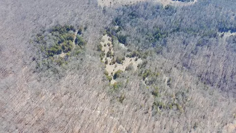 Rt 1 County Rd 14-531, Ava, MO 65608 photo 2