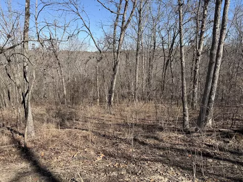 Rt 1 County Rd 14-531, Ava, MO 65608 photo 24