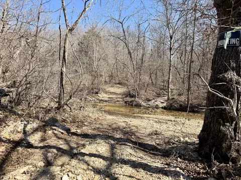 Rt 1 County Rd 14-531, Ava, MO 65608 photo 76