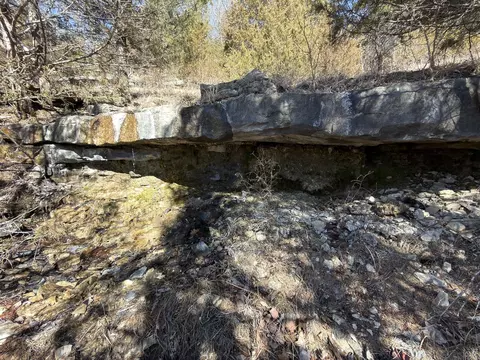 Rt 1 County Rd 14-531, Ava, MO 65608 photo 43