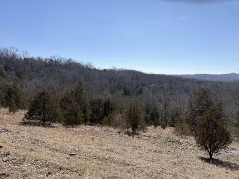 Rt 1 County Rd 14-531, Ava, MO 65608 photo 45