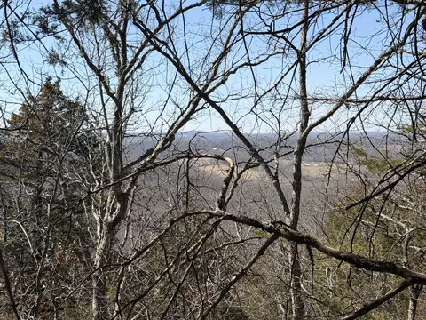 Rt 1 County Rd 14-531, Ava, MO 65608 photo 33