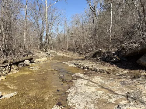 Rt 1 County Rd 14-531, Ava, MO 65608 photo 58