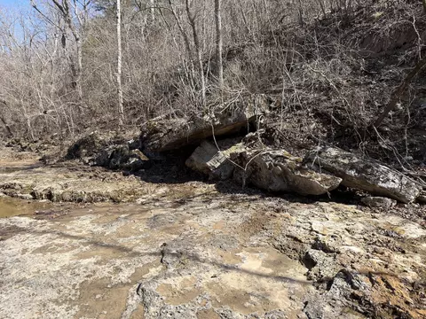 Rt 1 County Rd 14-531, Ava, MO 65608 photo 57