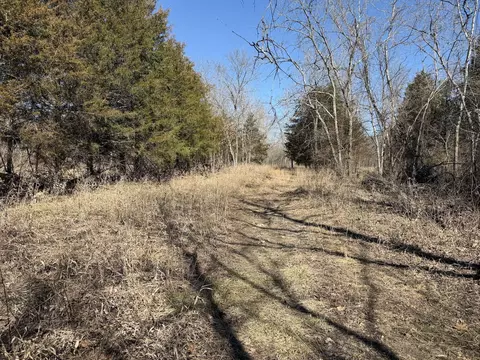 Rt 1 County Rd 14-531, Ava, MO 65608 photo 17