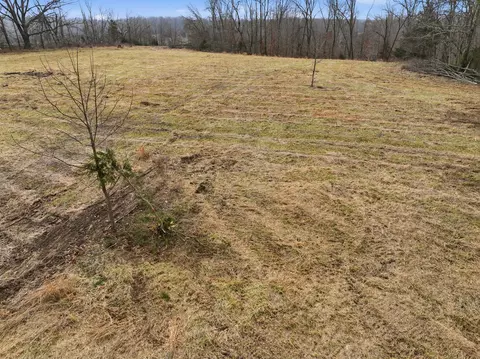 000 County Road 60-489, Birch Tree, MO 65438 photo 6