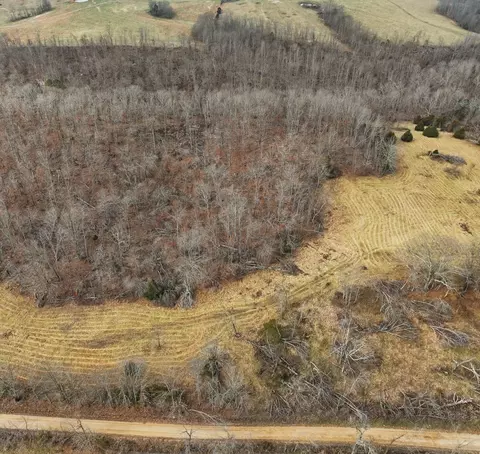000 County Road 60-489, Birch Tree, MO 65438 photo 7
