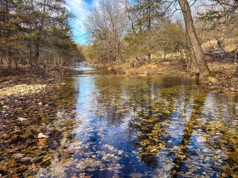 tbd Palmer Rd, Theodosia, MO 65761