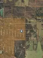 1416 Dewberry Ln, Horseshoe Bend, AR 72512