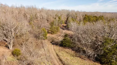 406 Horner Dr, Bradleyville, MO 65614