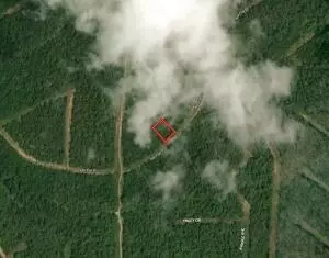313 Ash Flat Dr, Horseshoe Bend, AR 72512