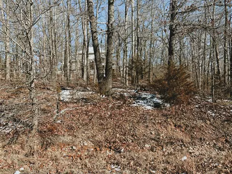 000 Lot 2 Block 13 Morrison Sub, West Plains, MO 65775