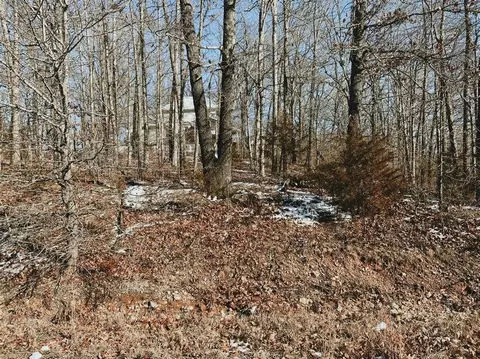 000 Lot 4 Block 13 Morrison Sub, West Plains, MO 65775