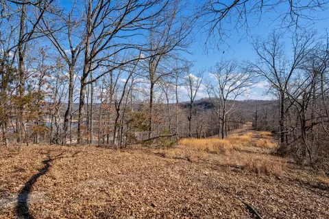 000 Long Bend Rd, Galena, MO 65656 photo 55