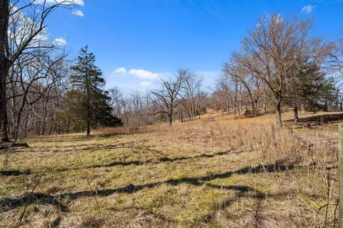 000 Long Bend Rd, Galena, MO 65656 photo 48