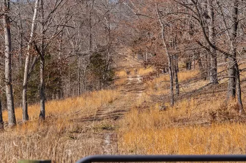 000 Long Bend Rd, Galena, MO 65656 photo 47