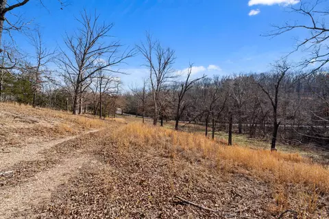 000 Long Bend Rd, Galena, MO 65656 photo 49