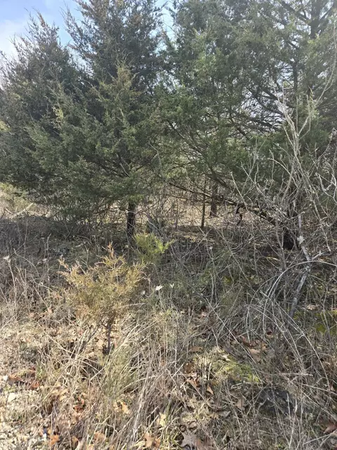 000 Farm Road 2085, Aurora, MO 65605