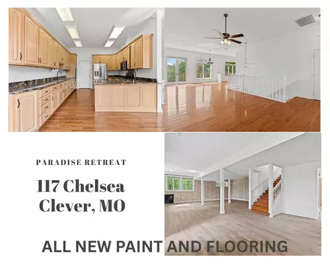 117 Chelsea Ln, Clever, MO 65631