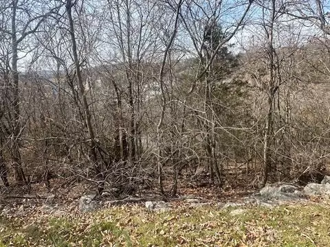 32 Canyon Pkwy, Branson, MO 65616 photo 7