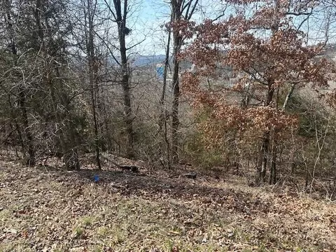 32 Canyon Pkwy, Branson, MO 65616 photo 5