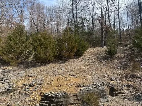 32 Canyon Pkwy, Branson, MO 65616 photo 8
