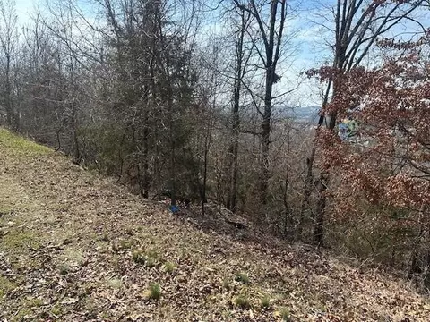 32 Canyon Pkwy, Branson, MO 65616 photo 4