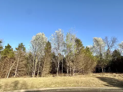 lot3 Mack Rd, Nixa, MO 65714 photo 2