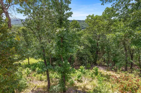 Other - 500 Briggs Rd, Walnut Shade, MO 65771 photo 7 of 13