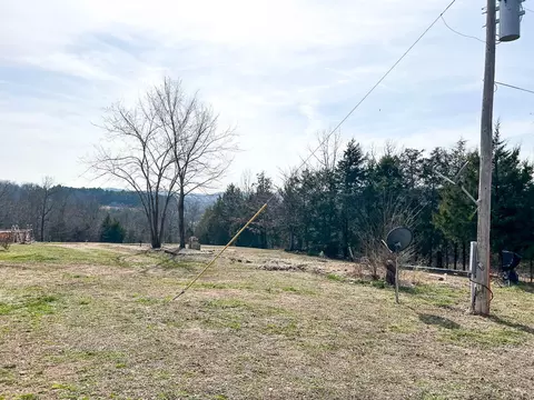 Exterior - 53 Veazey Dr, Brixey, MO 65618 photo 5 of 8