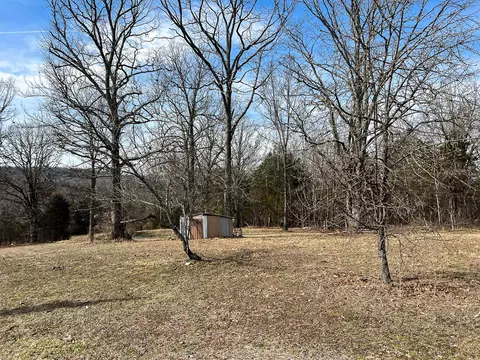 Exterior - 53 Veazey Dr, Brixey, MO 65618 photo 6 of 8