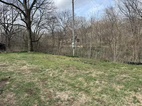 Exterior - 421 Farm Road 2160, Exeter, MO 65647 photo 12 of 13