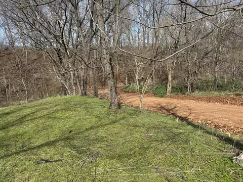 Exterior - 421 Farm Road 2160, Exeter, MO 65647 photo 3 of 13